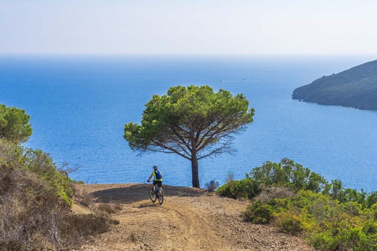 Isola d'Elba